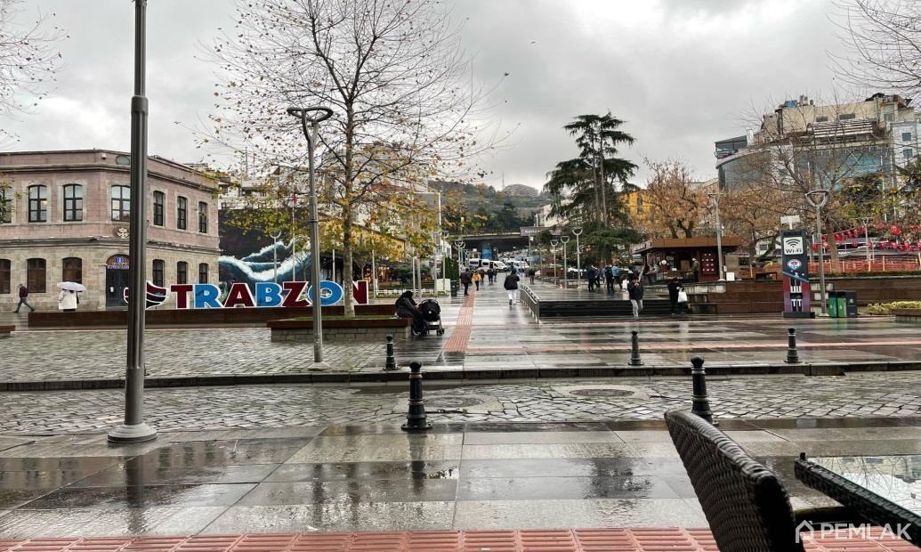 Паромная переправа Сочи —Трабзон